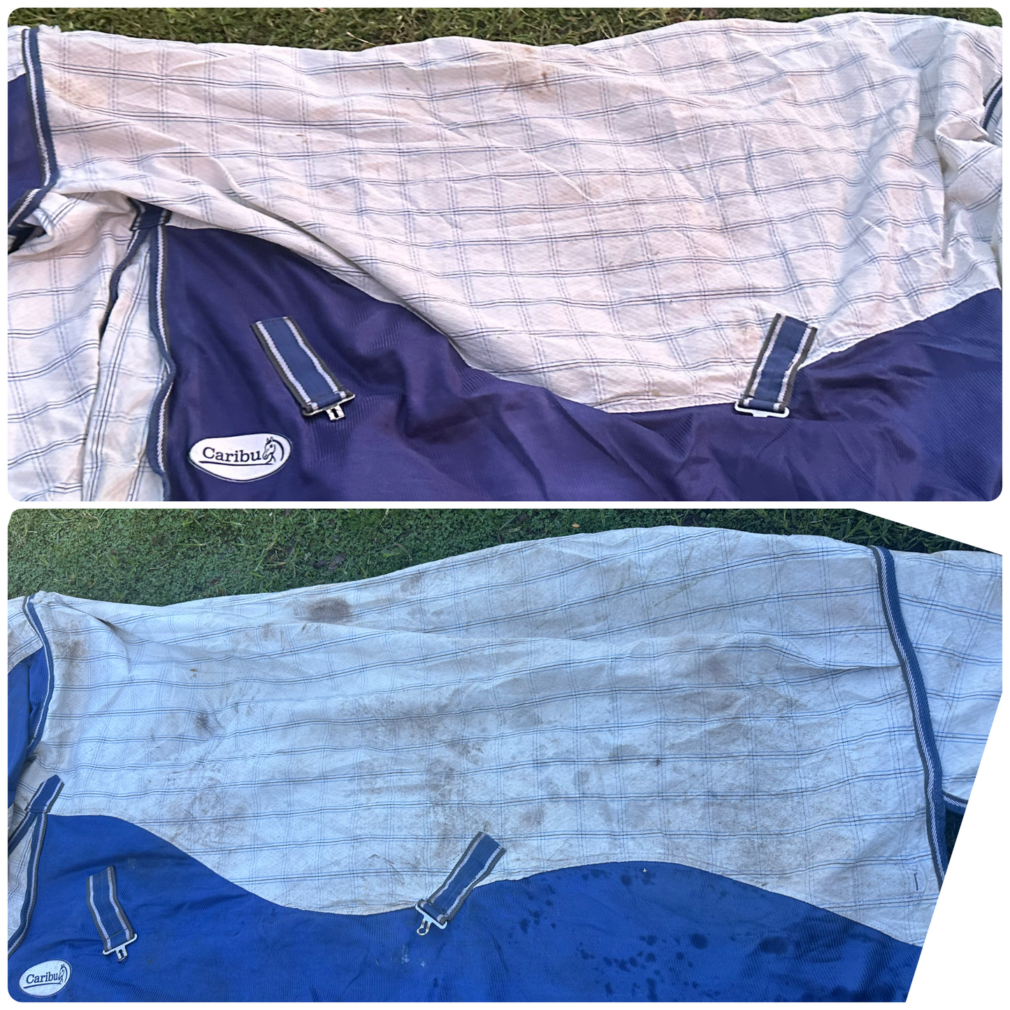 BPE Eucalyptus Rug Wash