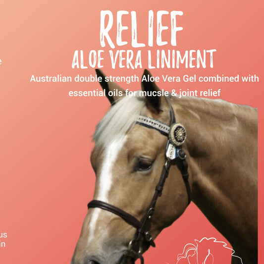 BPE Relief - Aloe Vera Liniment