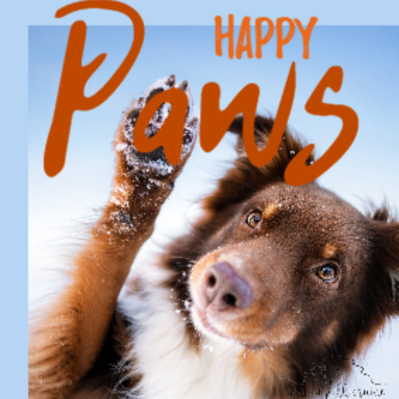 Happy Paws - Herbal Dog Suppliment