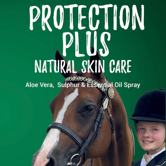 BPE Protection Plus - ALL NEW FORMULA