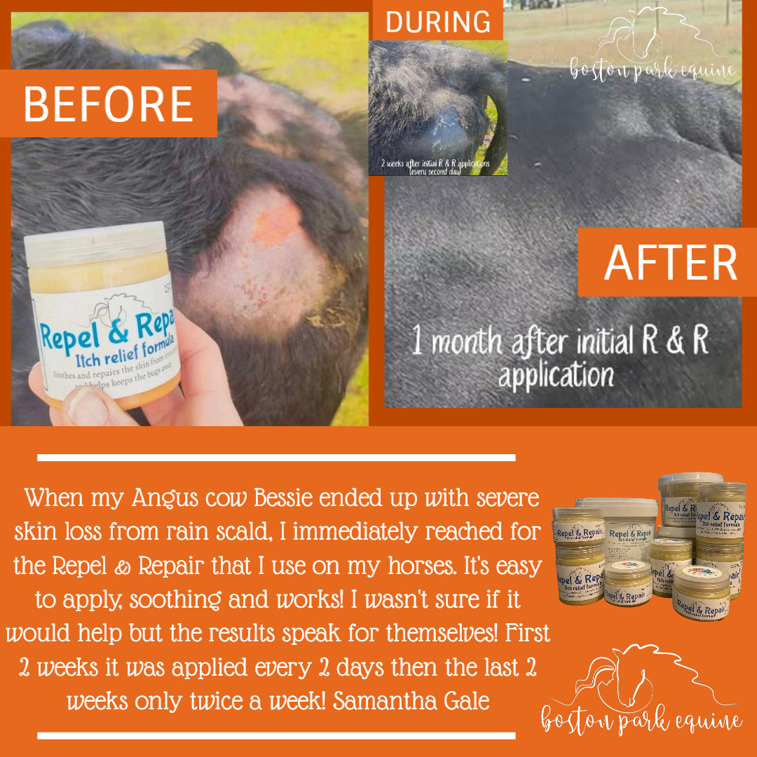 BPE Repel and Repair