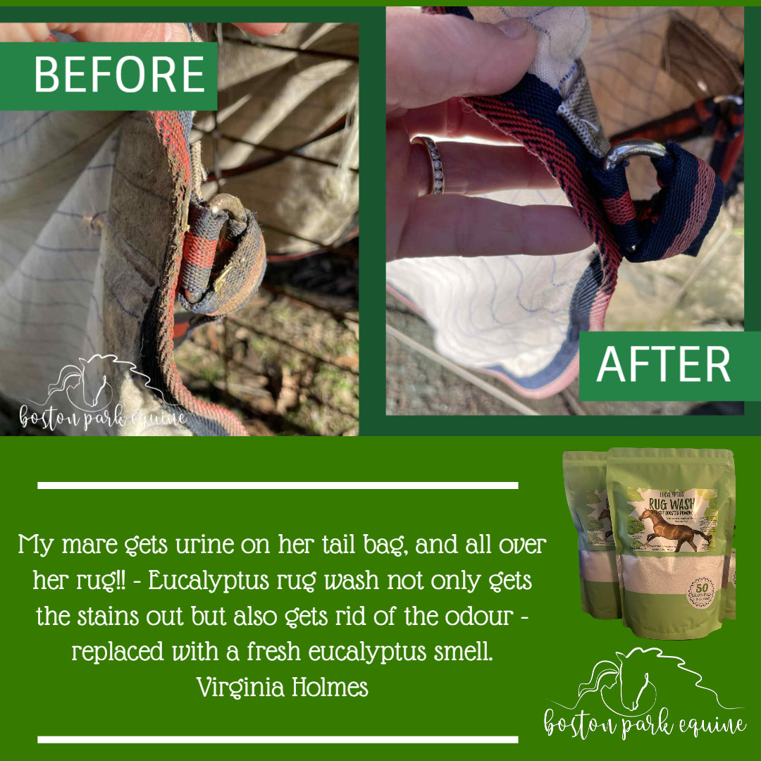 BPE Eucalyptus Rug Wash