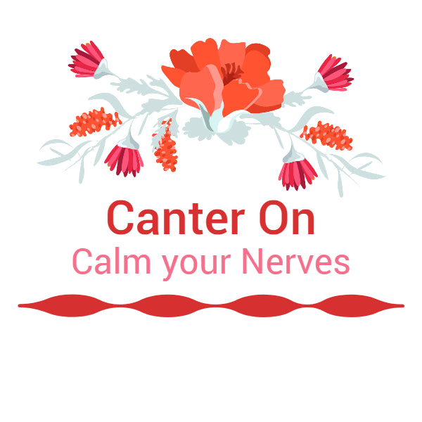Canter On