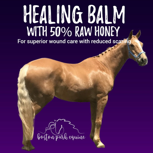 BPE Healing Balm with Raw Honey