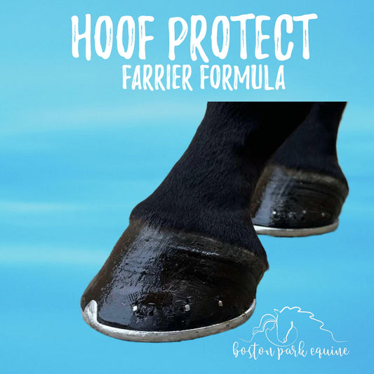 BPE Hoof Protect - Farrier Wax Stick