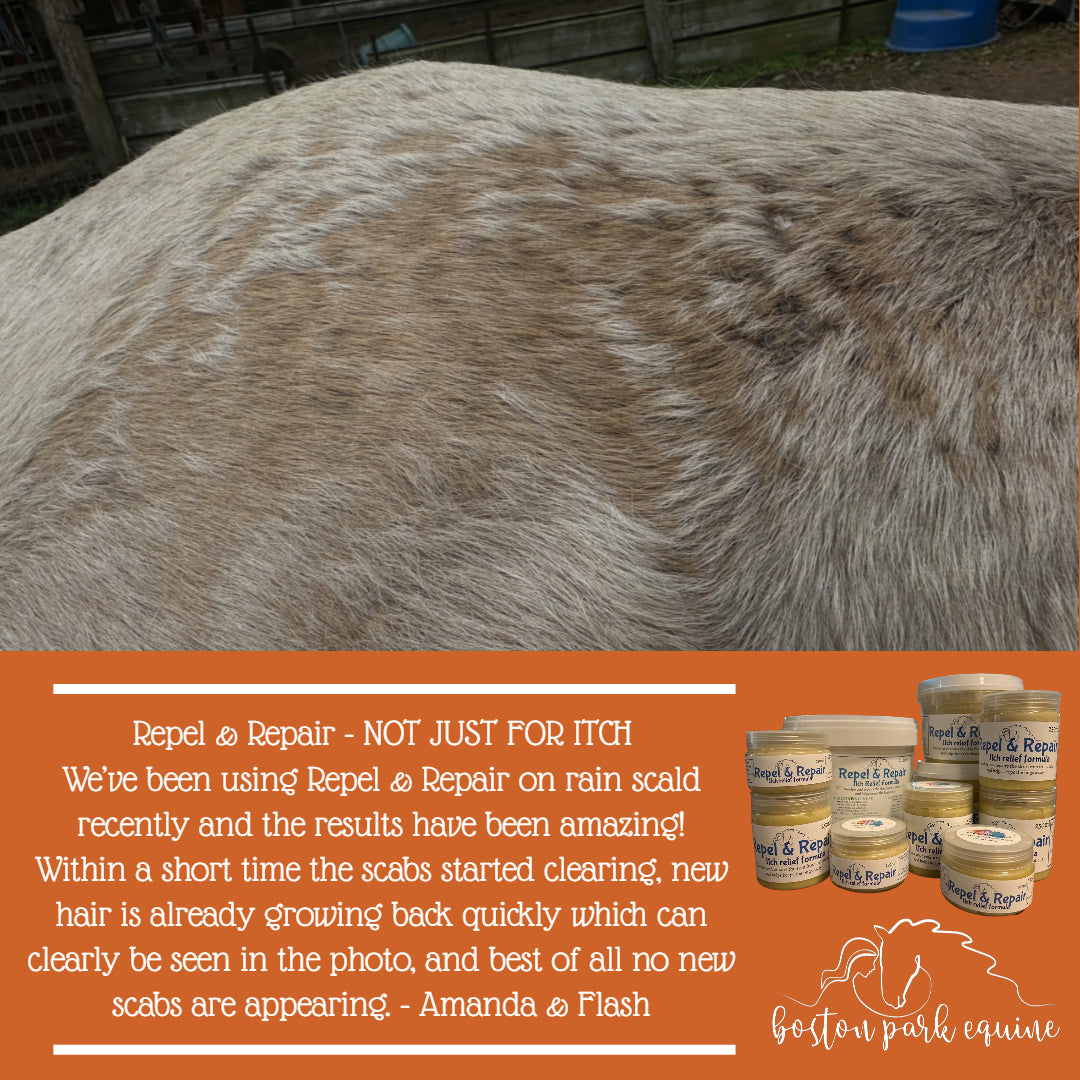 BPE Repel and Repair