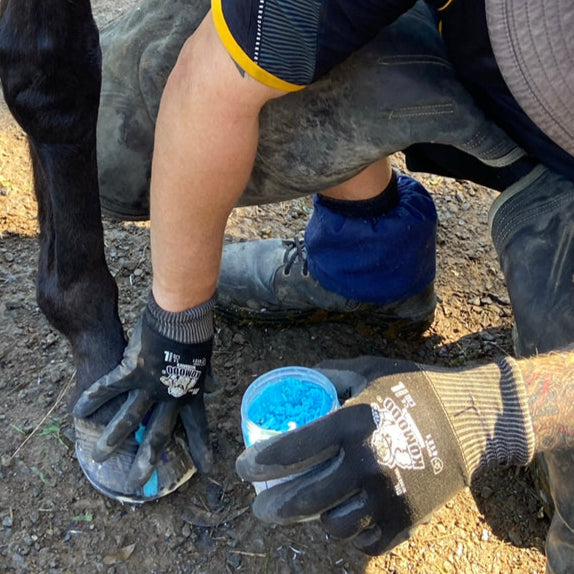 BPE Seedy NO! Hoof Ointment