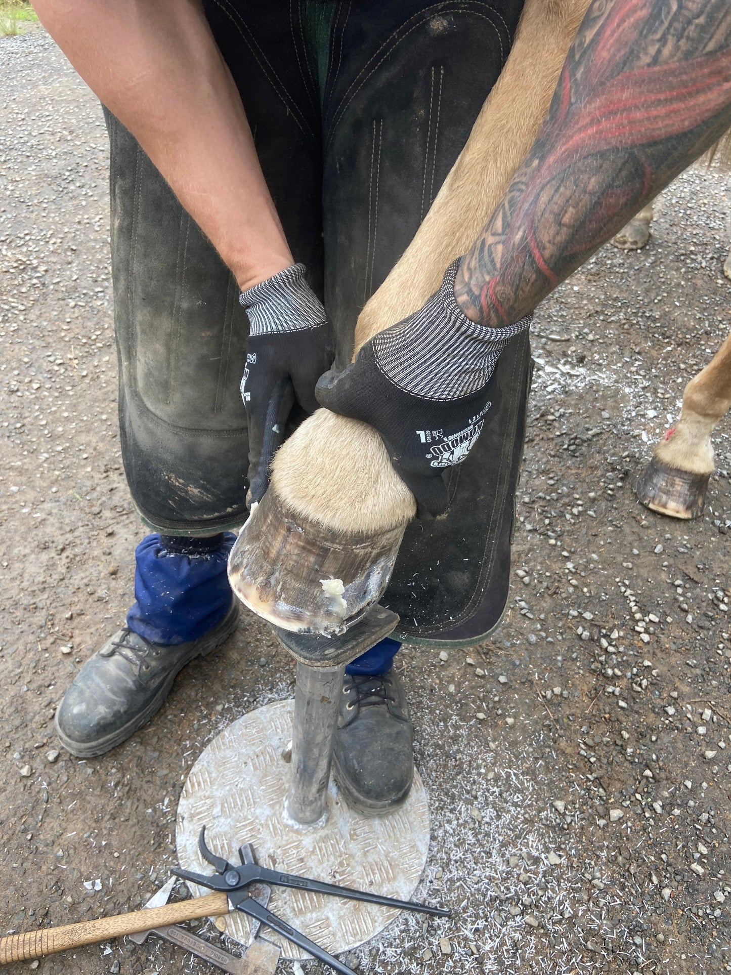 BPE Hoof Protect - Farrier Wax Stick