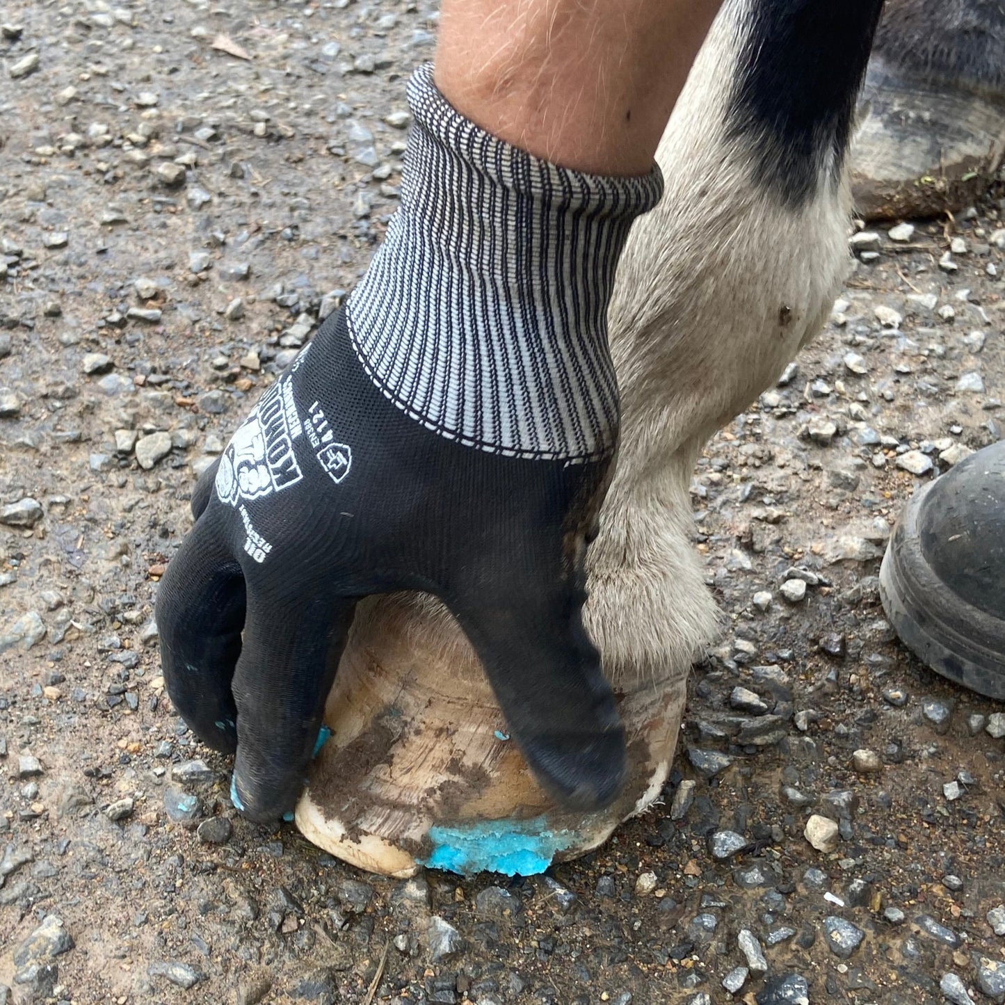 BPE Seedy NO! Hoof Ointment