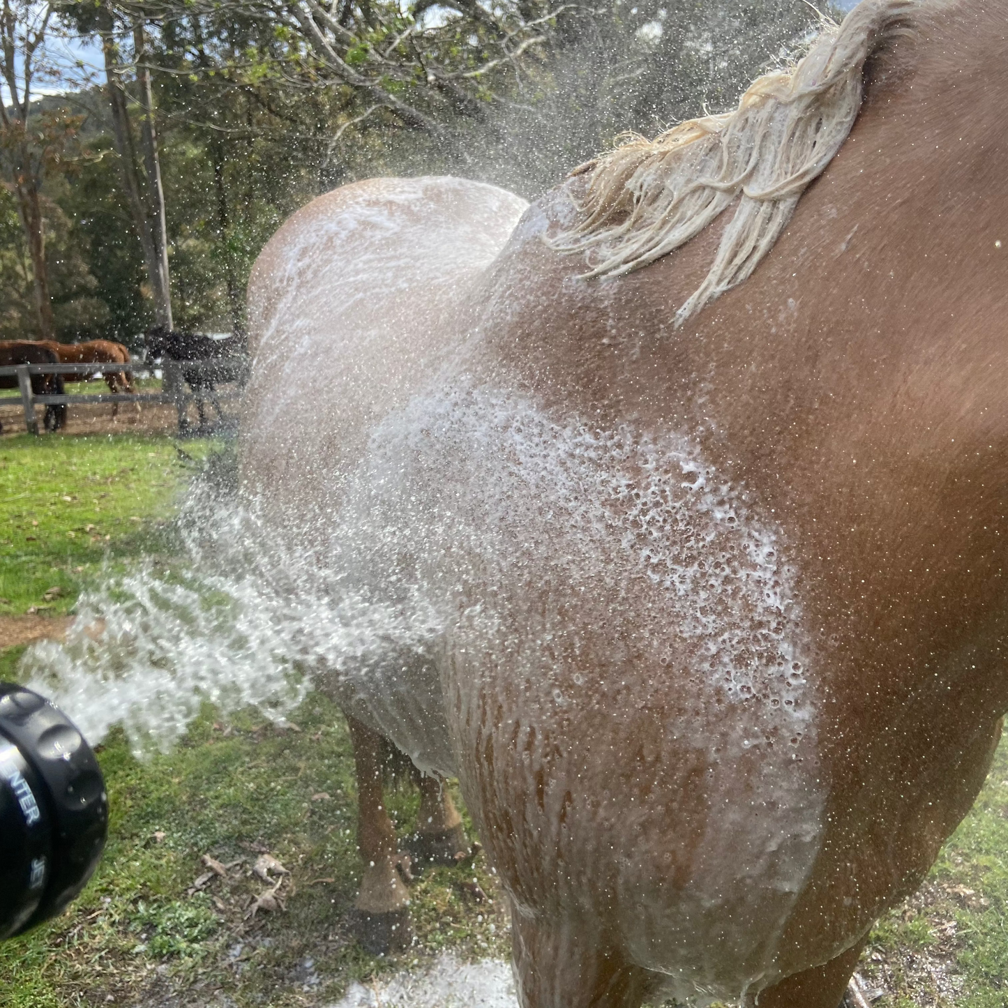Soap Soaker Hose Attachment