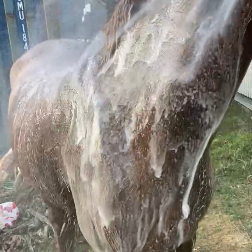 Soap Soaker Hose Attachment