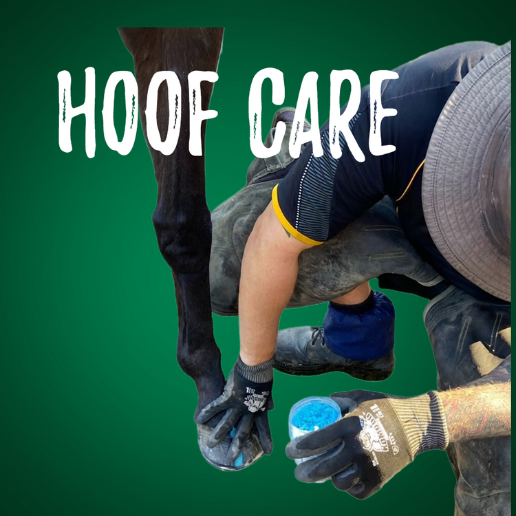 Natural Hoof Care