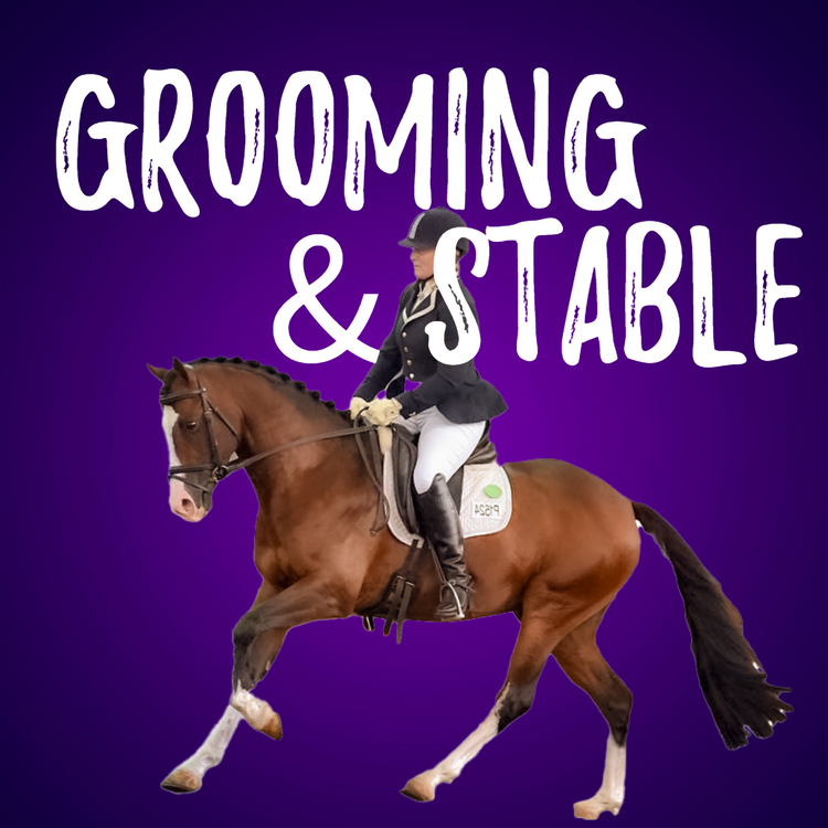 Grooming & Stable