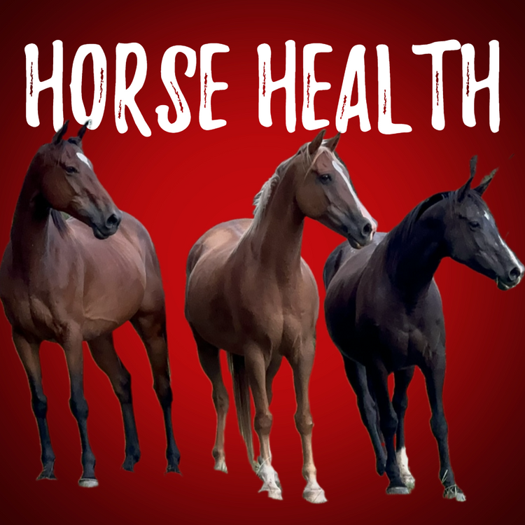 Natural Horse Health