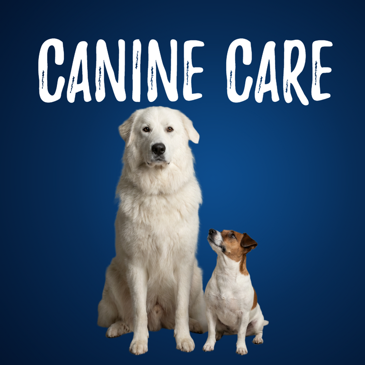 Natural Canine Care
