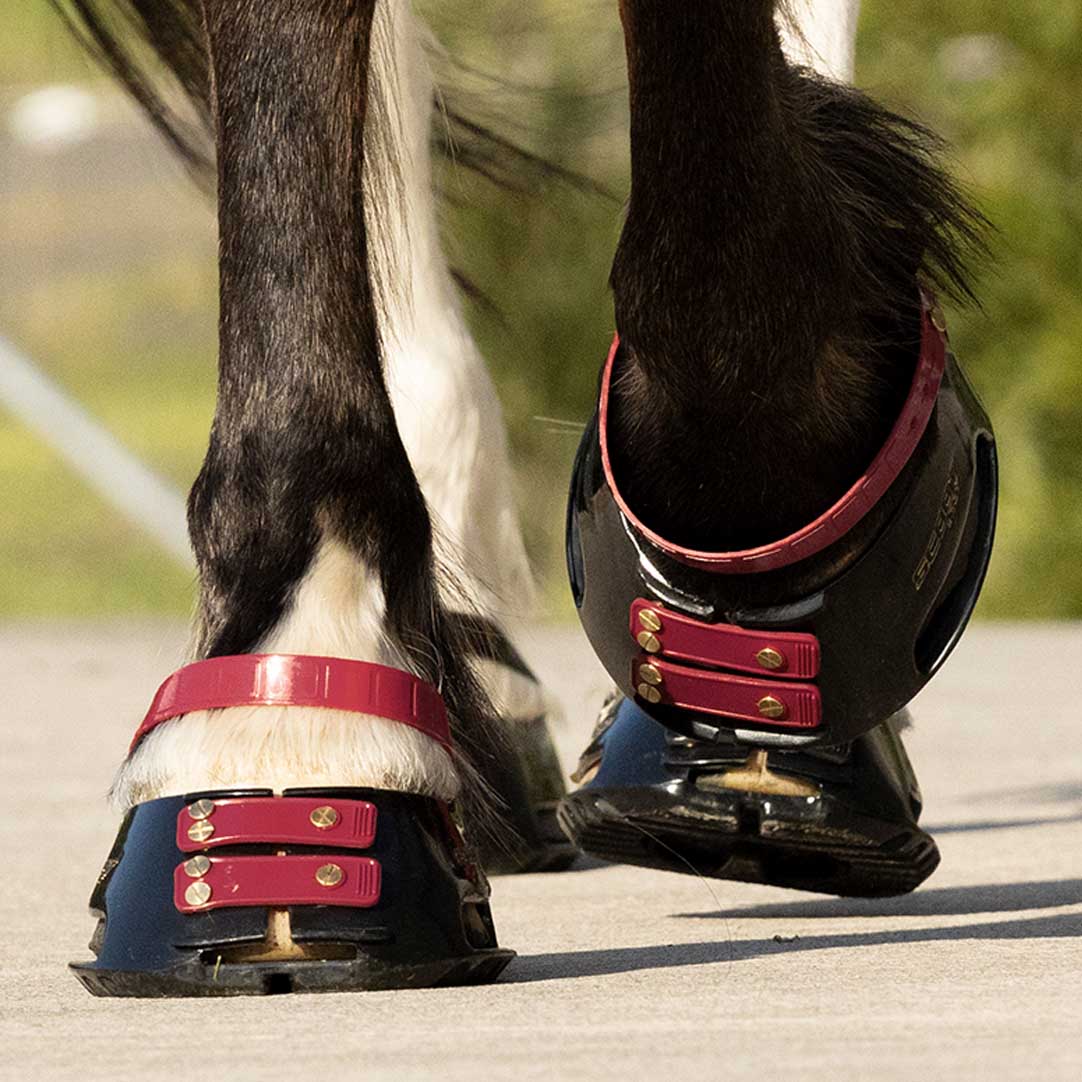 Scoot Boot Pastern Straps