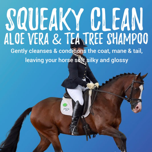BPE Squeaky Clean Shampoo