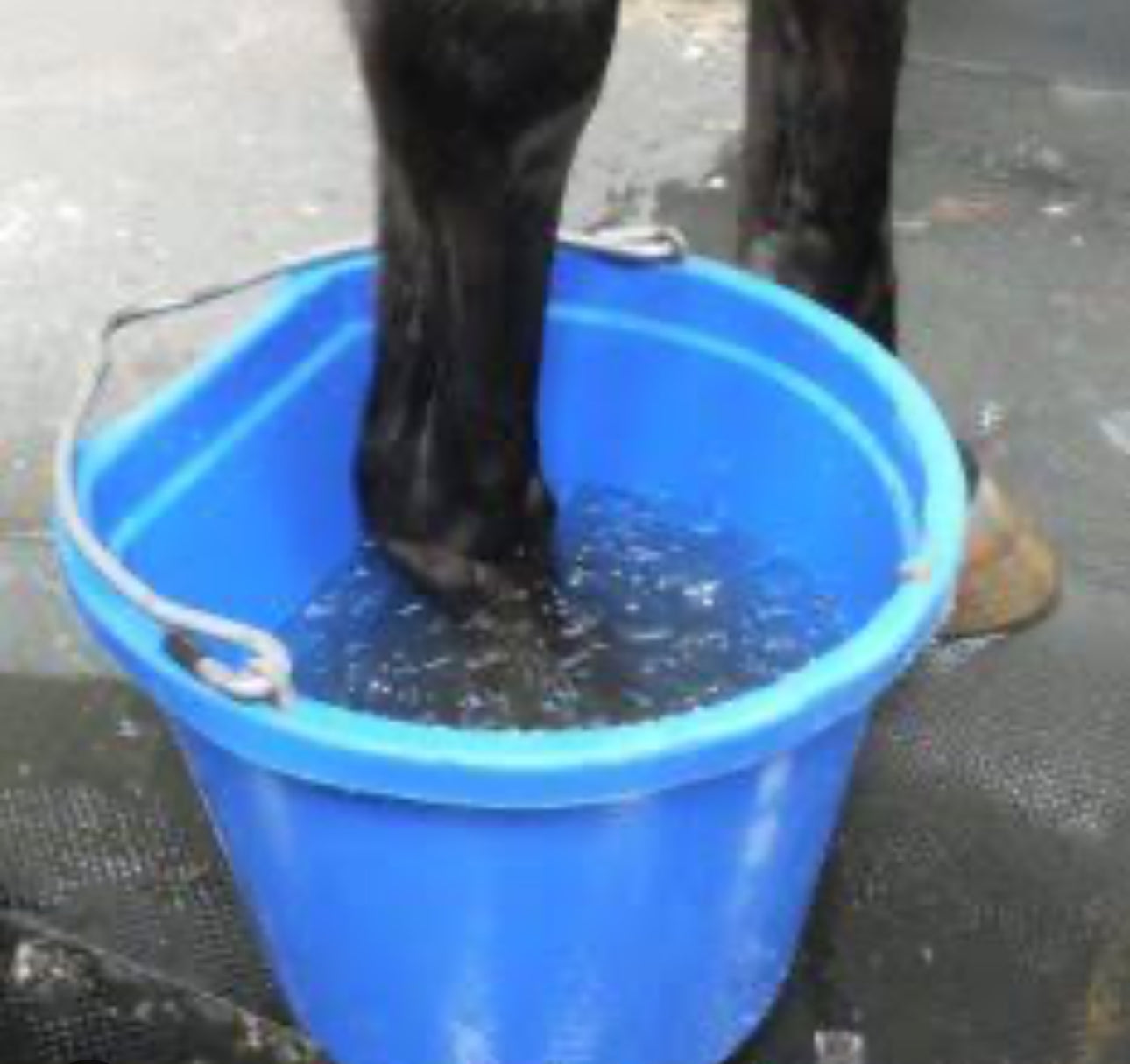 BPE Hoof Soak