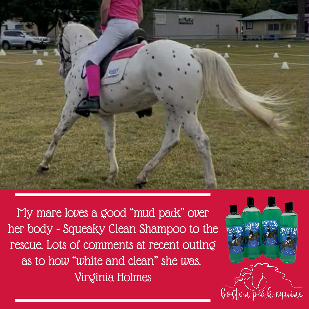 BPE Squeaky Clean Shampoo
