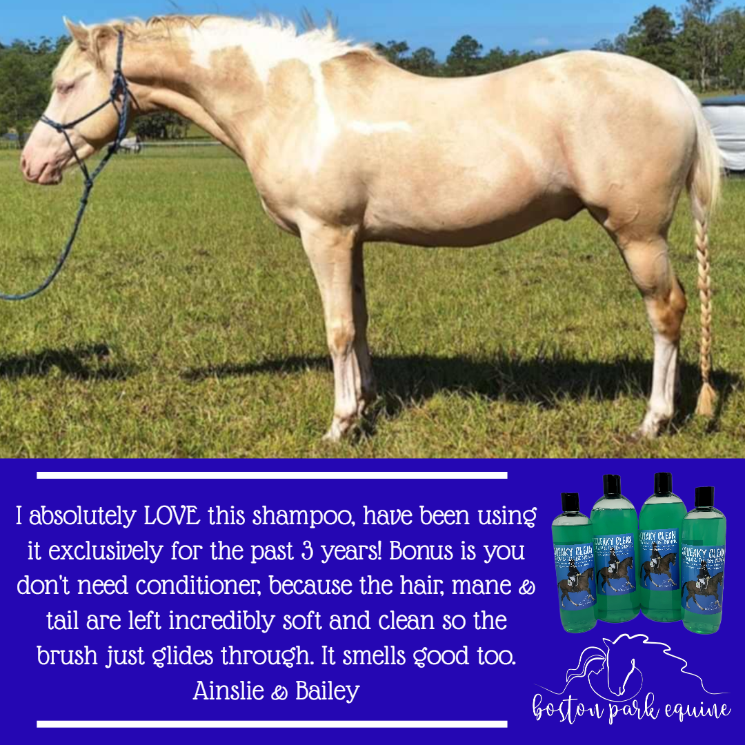 BPE Squeaky Clean Shampoo