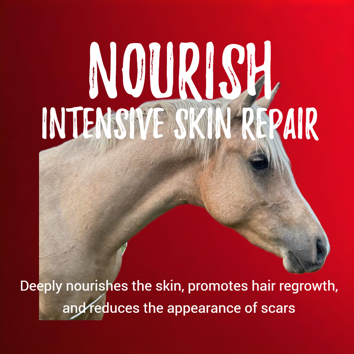 BPE Nourish Skin Repair