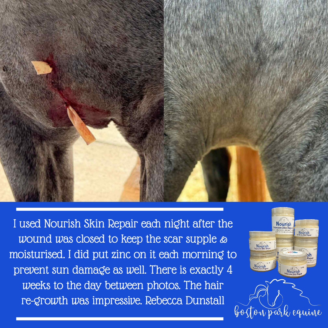 BPE Nourish Skin Repair
