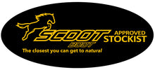 Load image into Gallery viewer, Scoot Boot Fitting Session - MID NORTH COAST NSW
