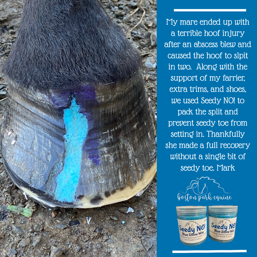 BPE Seedy NO! Hoof Ointment