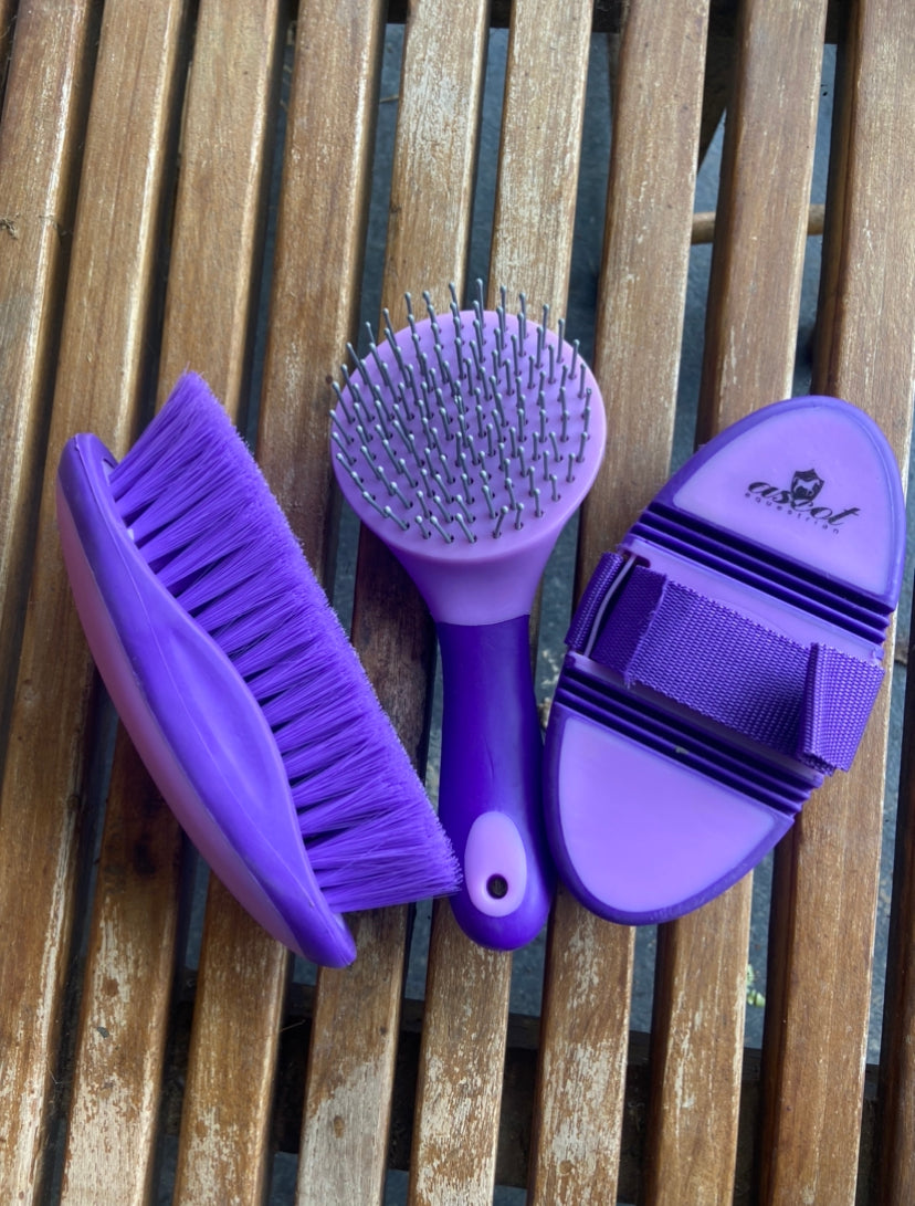 Ascot 3 Brush Kit