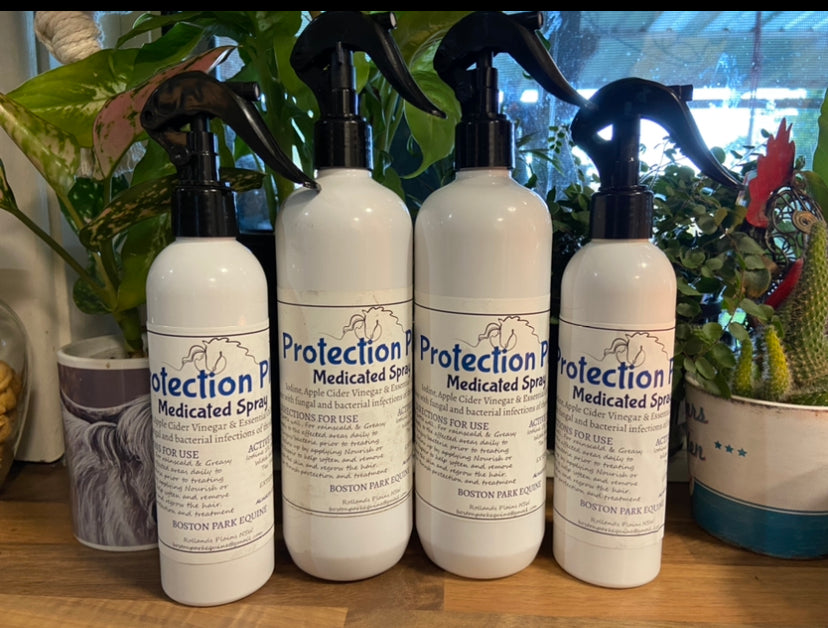 BPE Protection Plus