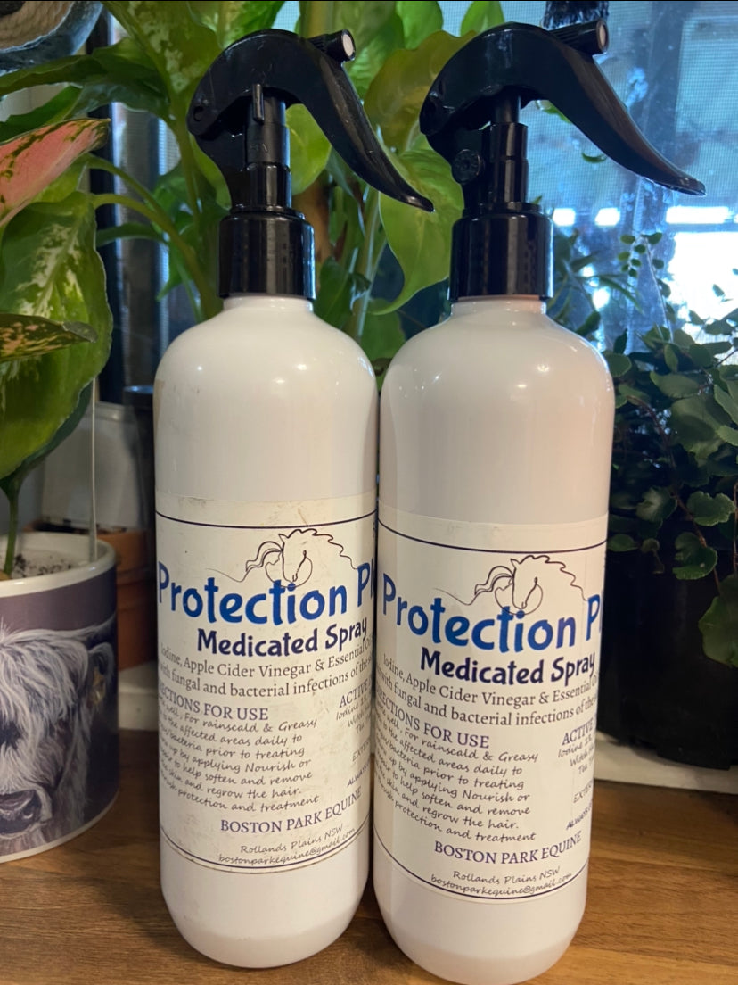 BPE Protection Plus