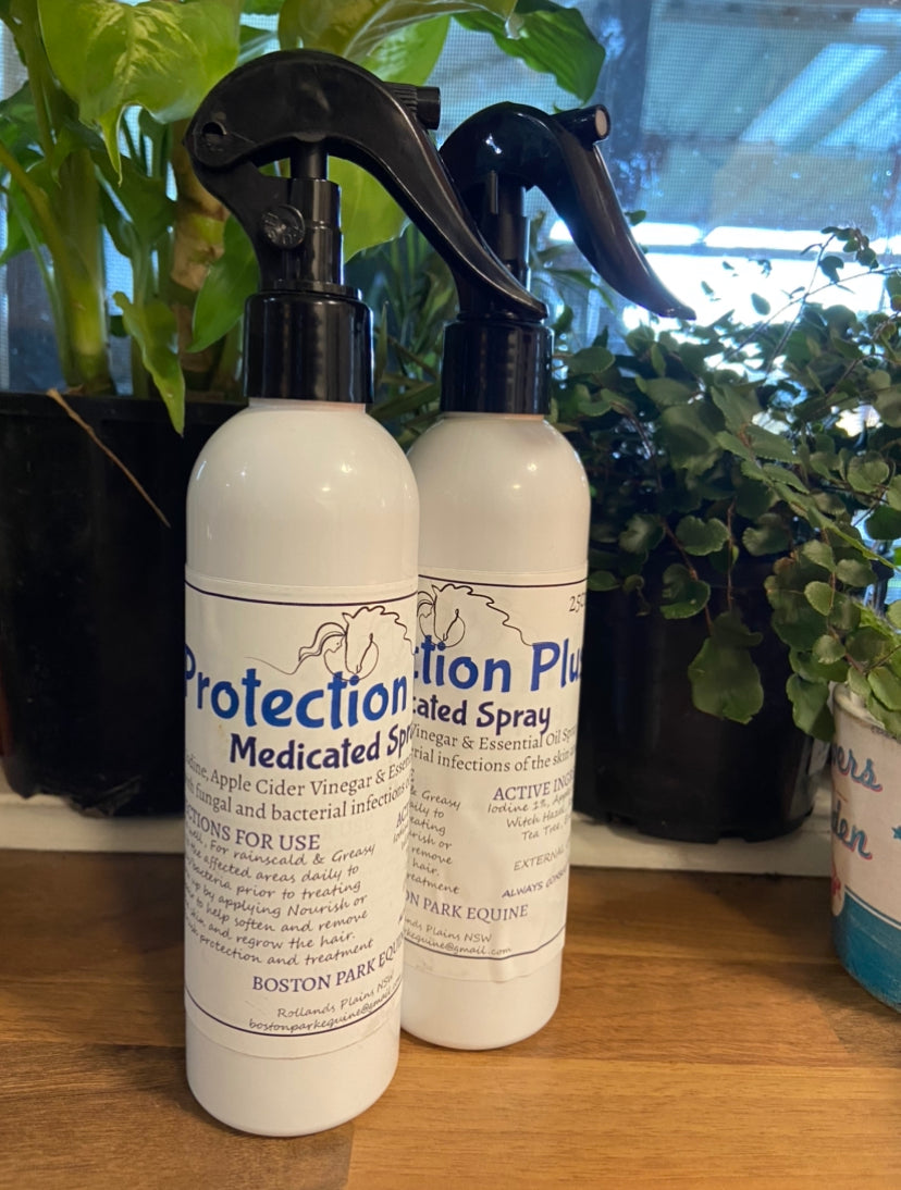 BPE Protection Plus