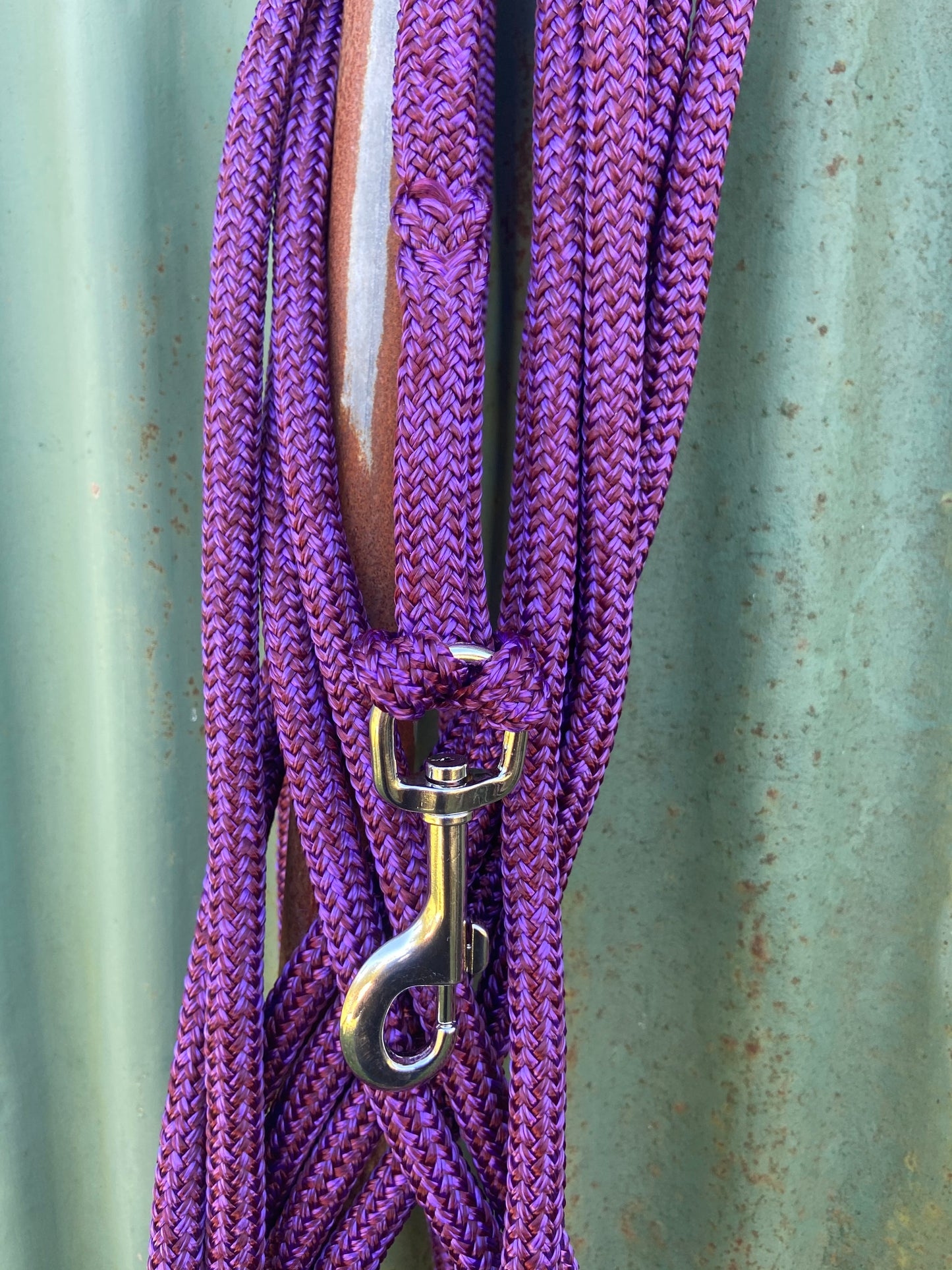 Heavy Duty Lead Rope Clip