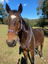 Load image into Gallery viewer, Luna Bridle - Training Halter / Bitless Bridle
