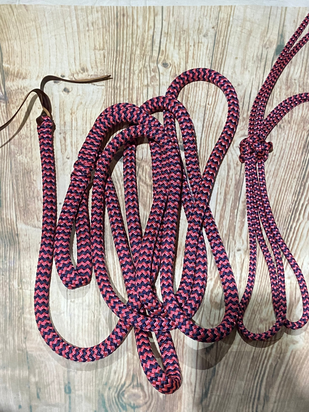 12' Lead and halter