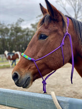 Load image into Gallery viewer, Deluxe Rope Halter with nose sleeve
