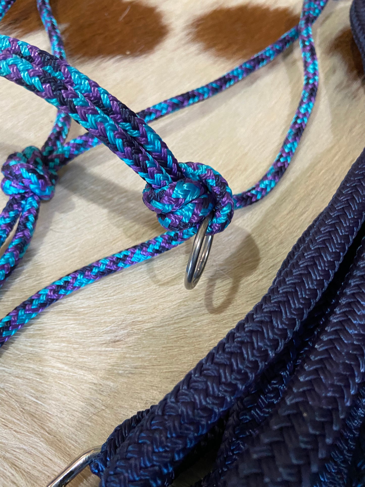 Training set - Halter, Lead, Reins