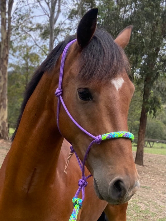 Deluxe Rope Halter with nose sleeve