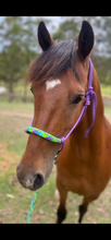 Load image into Gallery viewer, Deluxe Rope Halter with nose sleeve
