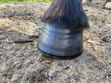 Load image into Gallery viewer, BPE Hoof Protect - Farrier Wax Stick
