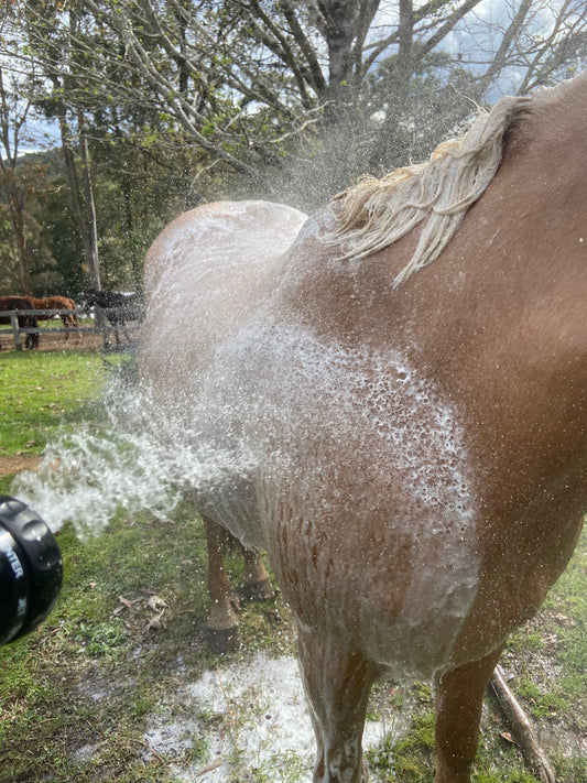 Soap Soaker Hose Attachment