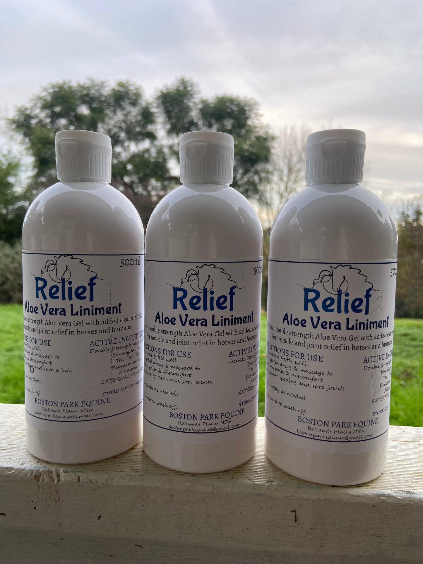 BPE Relief - Aloe Vera Liniment