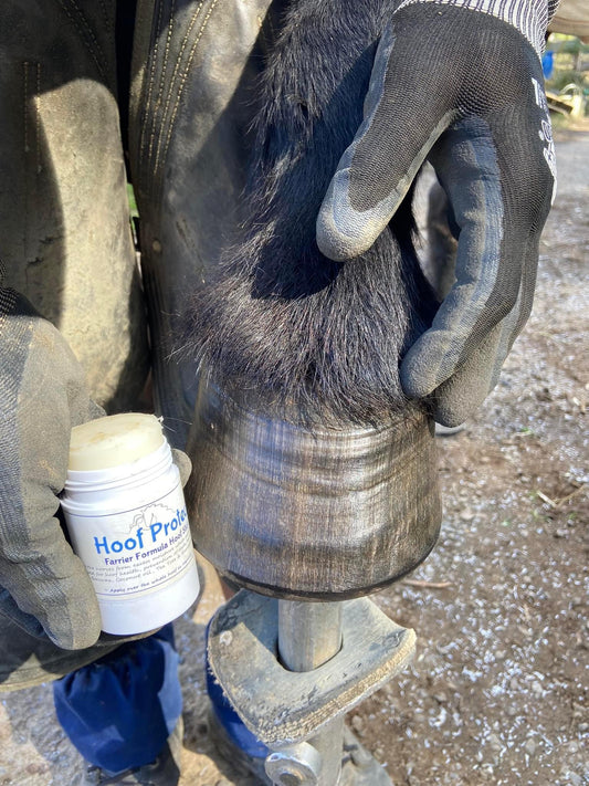 BPE Hoof Protect - Farrier Wax Stick