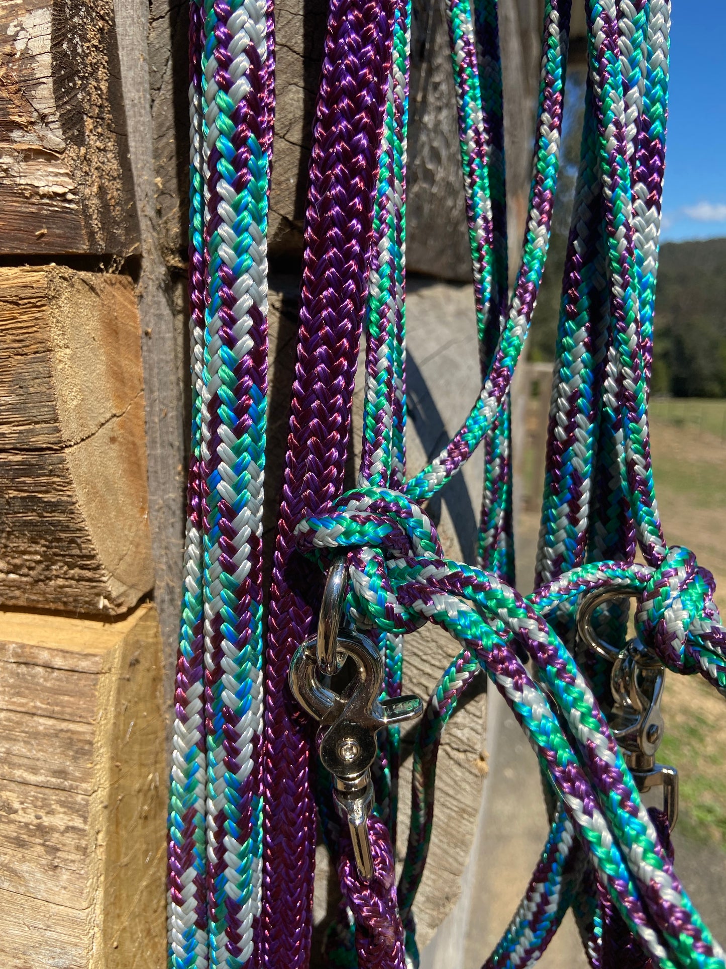 Training set - Halter, Lead, Reins