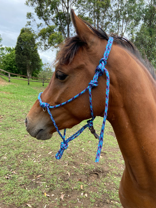 Standard 8mm Halter