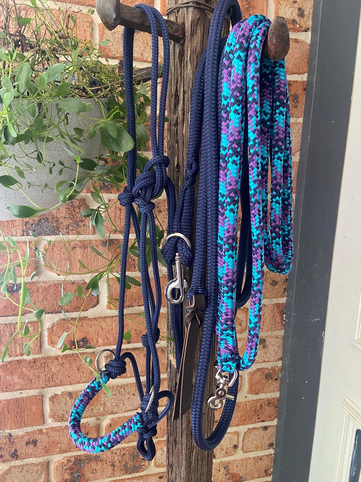 Training set - Halter, Lead, Reins