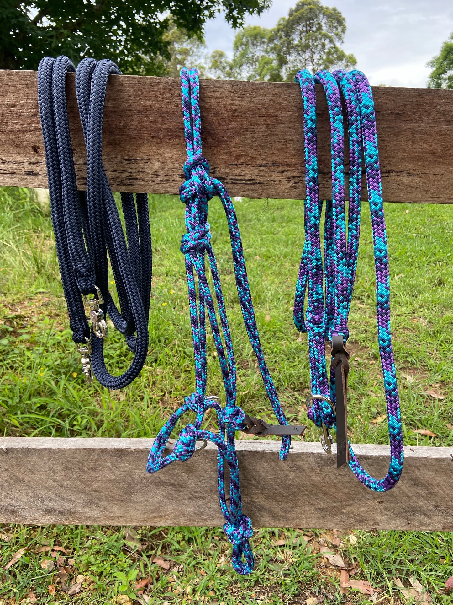 Training set - Halter, Lead, Reins