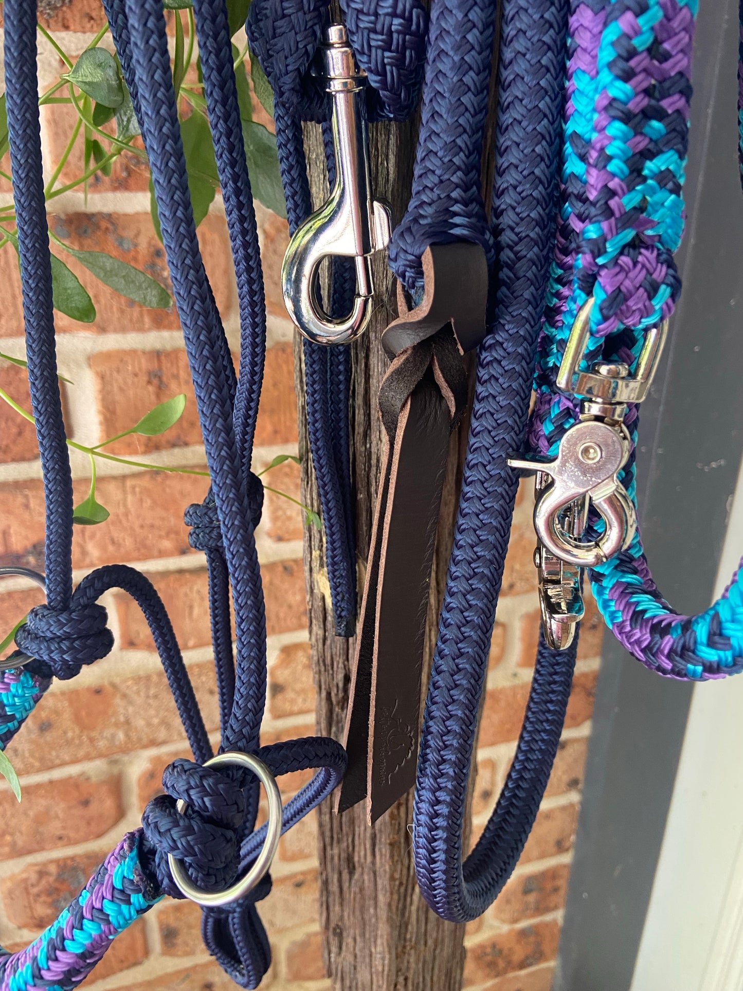 Training set - Halter, Lead, Reins